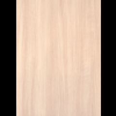 18 mm Suntalam Kanarak Alper Starwood 